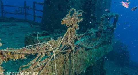 Navi, pescherecci e sommergibili: viaggio tra i relitti che giacciono sul fondo del mare